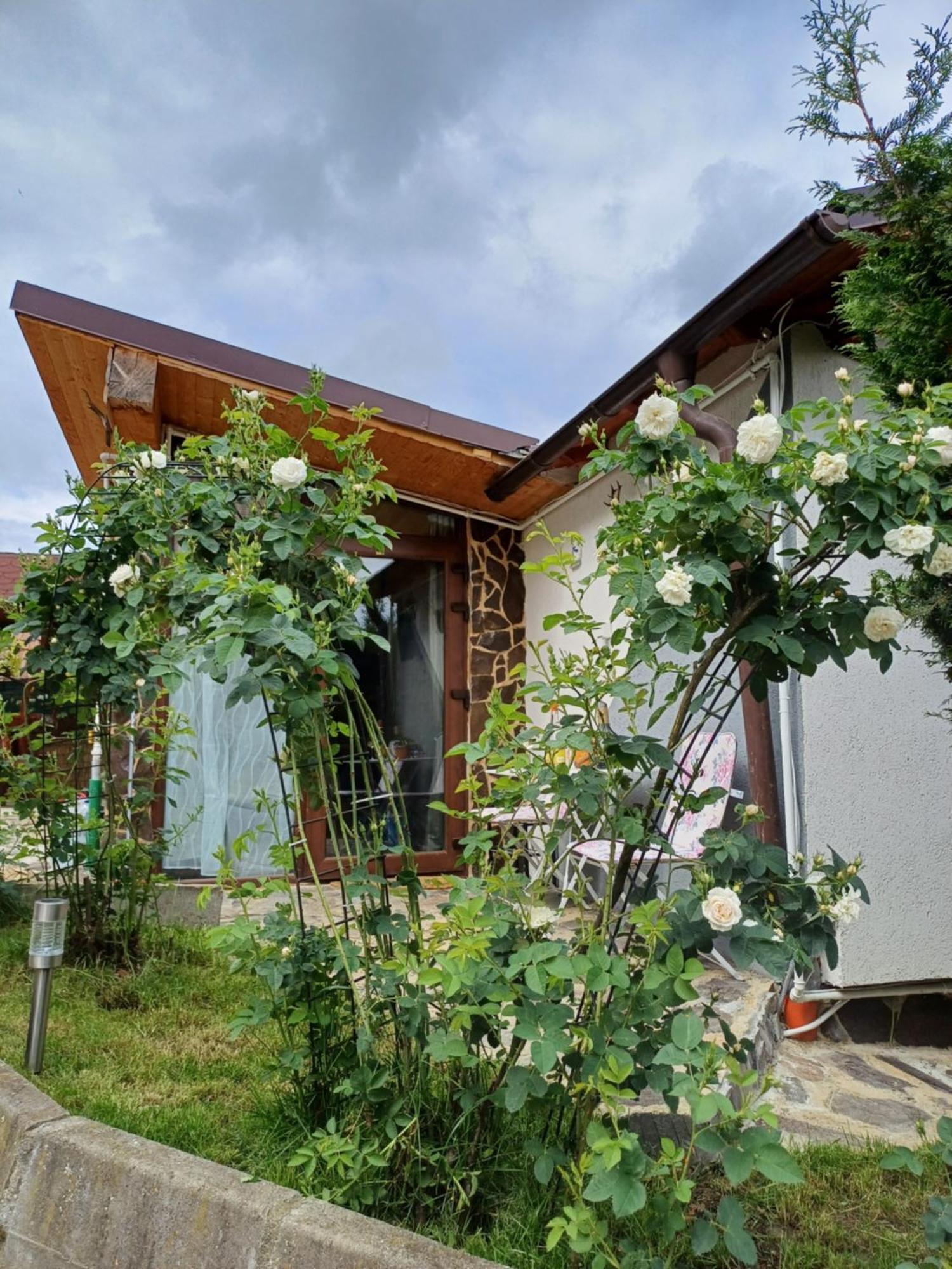 Cazare La Luiza B Sura Mare Exterior photo